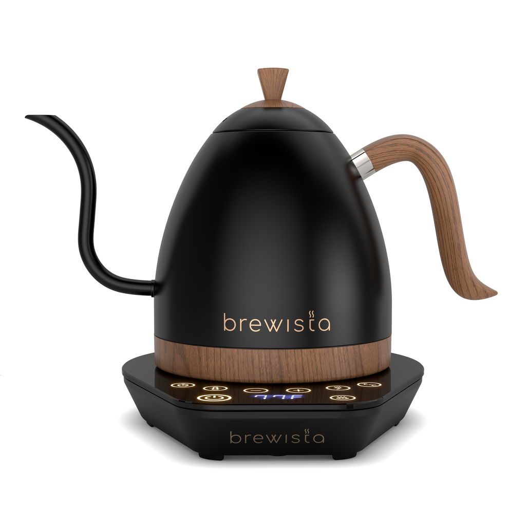 Brewista Artisan 1,0 l Schwanenhals-Wasserkocher – mattschwarz