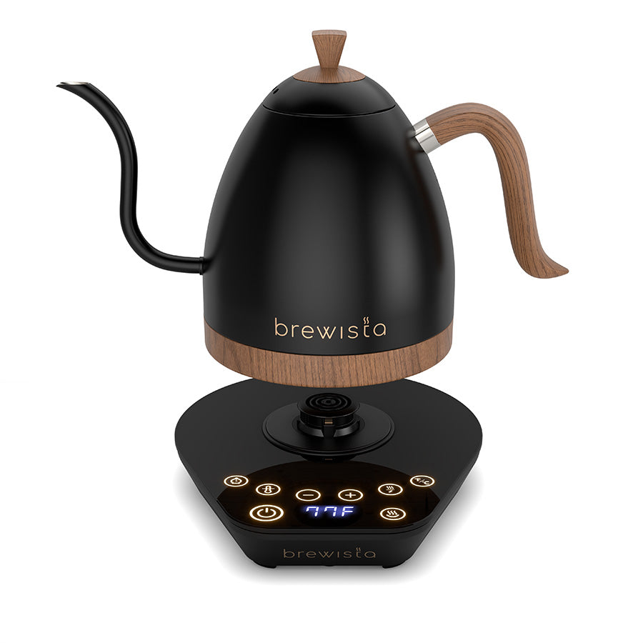 Brewista Artisan 1,0 l Schwanenhals-Wasserkocher – mattschwarz